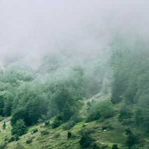 金色可乐资料,金色可乐最新歌曲,金色可乐MV视频,金色可乐音乐专辑,金色可乐好听的歌