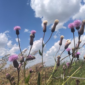 羽子资料,羽子最新歌曲,羽子MV视频,羽子音乐专辑,羽子好听的歌