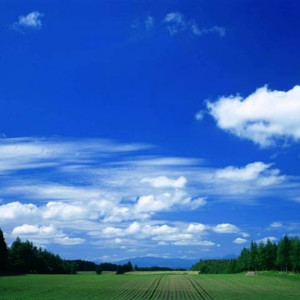 柔雪江南资料,柔雪江南最新歌曲,柔雪江南MV视频,柔雪江南音乐专辑,柔雪江南好听的歌