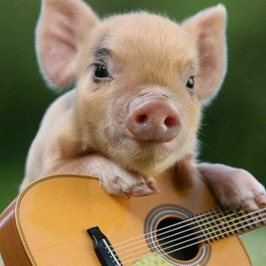 洋洋资料,洋洋最新歌曲,洋洋MV视频,洋洋音乐专辑,洋洋好听的歌