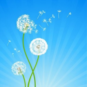 冰雪灵泉资料,冰雪灵泉最新歌曲,冰雪灵泉MV视频,冰雪灵泉音乐专辑,冰雪灵泉好听的歌