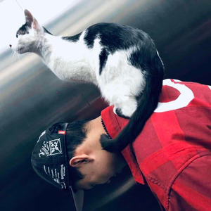 c致远资料,c致远最新歌曲,c致远MV视频,c致远音乐专辑,c致远好听的歌