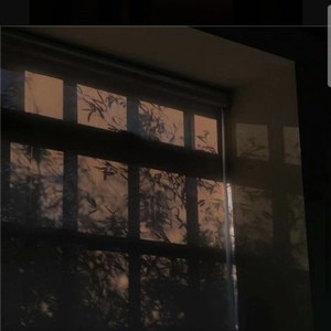 抓了条鱼资料,抓了条鱼最新歌曲,抓了条鱼MV视频,抓了条鱼音乐专辑,抓了条鱼好听的歌