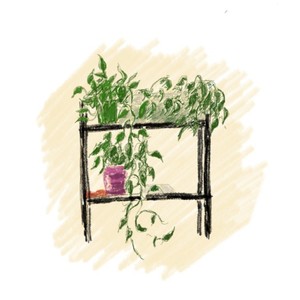 XIAOLI DING资料,XIAOLI DING最新歌曲,XIAOLI DINGMV视频,XIAOLI DING音乐专辑,XIAOLI DING好听的歌