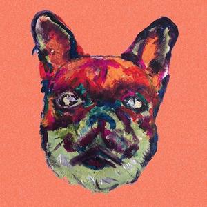 Dog Collective资料,Dog Collective最新歌曲,Dog CollectiveMV视频,Dog Collective音乐专辑,Dog Collective好听的歌