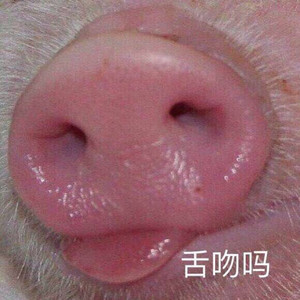 Kun Li资料,Kun Li最新歌曲,Kun LiMV视频,Kun Li音乐专辑,Kun Li好听的歌