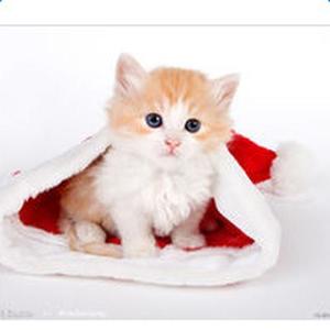 广寒资料,广寒最新歌曲,广寒MV视频,广寒音乐专辑,广寒好听的歌