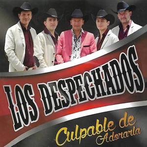 Los Despechados资料,Los Despechados最新歌曲,Los DespechadosMV视频,Los Despechados音乐专辑,Los Despechados好听的歌