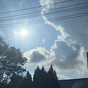 张祉贤资料,张祉贤最新歌曲,张祉贤MV视频,张祉贤音乐专辑,张祉贤好听的歌