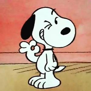 ONE.H资料,ONE.H最新歌曲,ONE.HMV视频,ONE.H音乐专辑,ONE.H好听的歌