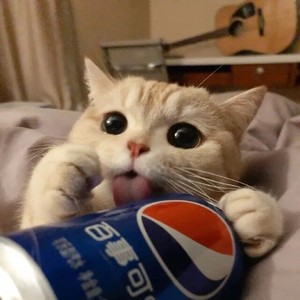 Rainy资料,Rainy最新歌曲,RainyMV视频,Rainy音乐专辑,Rainy好听的歌