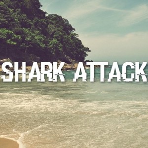 Shark Attack