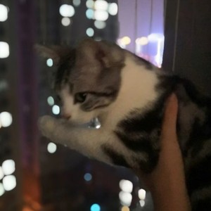 北萝资料,北萝最新歌曲,北萝MV视频,北萝音乐专辑,北萝好听的歌