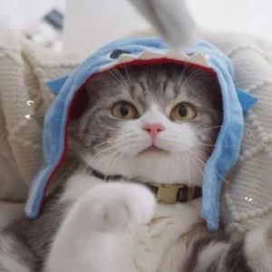 炸天帮资料,炸天帮最新歌曲,炸天帮MV视频,炸天帮音乐专辑,炸天帮好听的歌