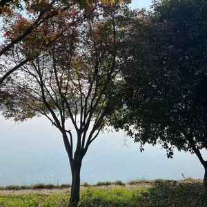 薛小七资料,薛小七最新歌曲,薛小七MV视频,薛小七音乐专辑,薛小七好听的歌