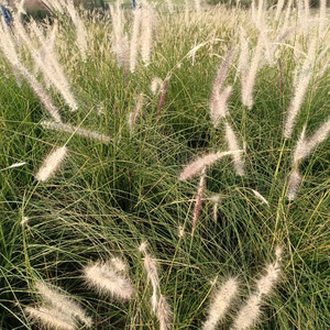 jian资料,jian最新歌曲,jianMV视频,jian音乐专辑,jian好听的歌