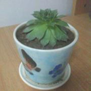 萧默资料,萧默最新歌曲,萧默MV视频,萧默音乐专辑,萧默好听的歌