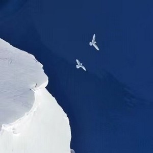 Tycen资料,Tycen最新歌曲,TycenMV视频,Tycen音乐专辑,Tycen好听的歌