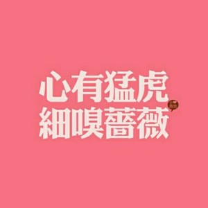 Rollya若里亚资料,Rollya若里亚最新歌曲,Rollya若里亚MV视频,Rollya若里亚音乐专辑,Rollya若里亚好听的歌