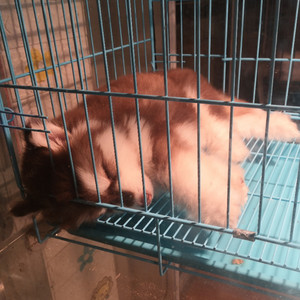 OhLeia资料,OhLeia最新歌曲,OhLeiaMV视频,OhLeia音乐专辑,OhLeia好听的歌