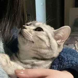 林秋秋资料,林秋秋最新歌曲,林秋秋MV视频,林秋秋音乐专辑,林秋秋好听的歌