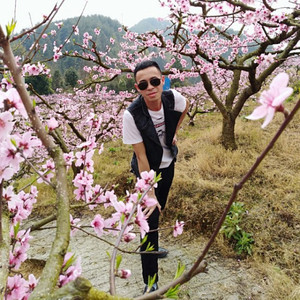 心音缸子资料,心音缸子最新歌曲,心音缸子MV视频,心音缸子音乐专辑,心音缸子好听的歌