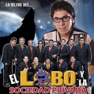 El Lobo Y La Sociedad Privada