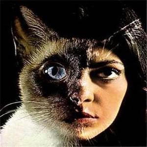 Persona资料,Persona最新歌曲,PersonaMV视频,Persona音乐专辑,Persona好听的歌