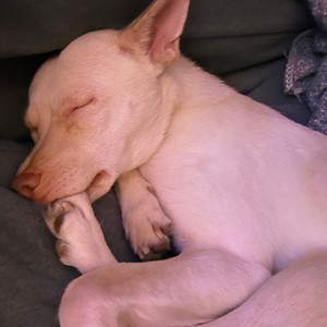 夏叶子资料,夏叶子最新歌曲,夏叶子MV视频,夏叶子音乐专辑,夏叶子好听的歌