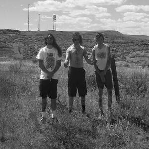 Cystic资料,Cystic最新歌曲,CysticMV视频,Cystic音乐专辑,Cystic好听的歌