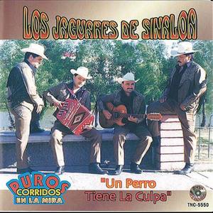 Los Jaguares De Sinaloa资料,Los Jaguares De Sinaloa最新歌曲,Los Jaguares De SinaloaMV视频,Los Jaguares De Sinaloa音乐专辑,Los Jaguares De Sinaloa好听的歌