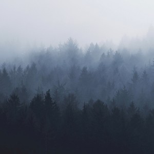 泽野千里资料,泽野千里最新歌曲,泽野千里MV视频,泽野千里音乐专辑,泽野千里好听的歌