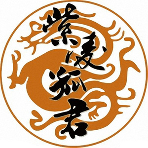 一生所爱-紫凌孤君