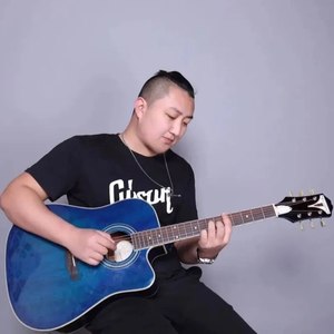 李凤林资料,李凤林最新歌曲,李凤林MV视频,李凤林音乐专辑,李凤林好听的歌