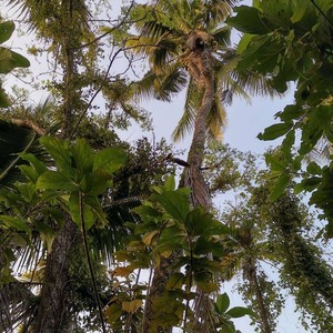 琼海广州合唱团资料,琼海广州合唱团最新歌曲,琼海广州合唱团MV视频,琼海广州合唱团音乐专辑,琼海广州合唱团好听的歌