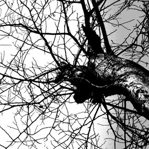 涅资料,涅最新歌曲,涅MV视频,涅音乐专辑,涅好听的歌