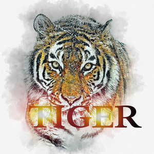 我是太阁资料,我是太阁最新歌曲,我是太阁MV视频,我是太阁音乐专辑,我是太阁好听的歌