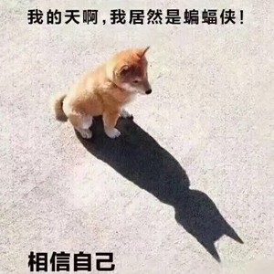 灵龙资料,灵龙最新歌曲,灵龙MV视频,灵龙音乐专辑,灵龙好听的歌