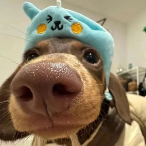 寻绝雪资料,寻绝雪最新歌曲,寻绝雪MV视频,寻绝雪音乐专辑,寻绝雪好听的歌