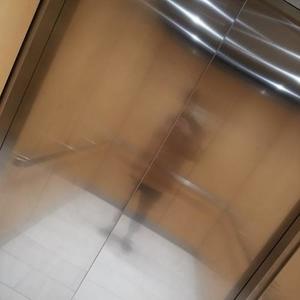 Ross资料,Ross最新歌曲,RossMV视频,Ross音乐专辑,Ross好听的歌