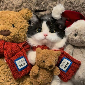 YU.小宇资料,YU.小宇最新歌曲,YU.小宇MV视频,YU.小宇音乐专辑,YU.小宇好听的歌