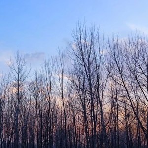 “有个国家，她很伟大……”移动人唱响 #红歌红歌，“声”情告白 #祖国万岁 #爱国