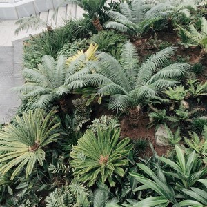 黄添逸资料,黄添逸最新歌曲,黄添逸MV视频,黄添逸音乐专辑,黄添逸好听的歌