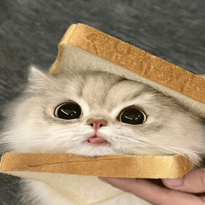 邓小九资料,邓小九最新歌曲,邓小九MV视频,邓小九音乐专辑,邓小九好听的歌