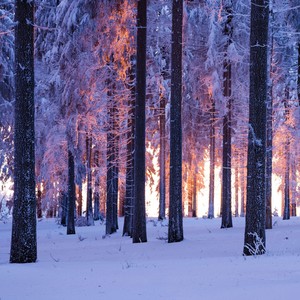 偷你的心资料,偷你的心最新歌曲,偷你的心MV视频,偷你的心音乐专辑,偷你的心好听的歌