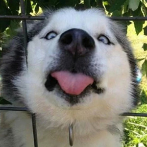 沐白资料,沐白最新歌曲,沐白MV视频,沐白音乐专辑,沐白好听的歌