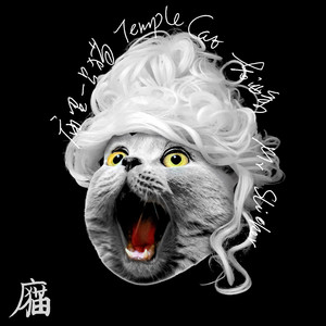 老油条资料,老油条最新歌曲,老油条MV视频,老油条音乐专辑,老油条好听的歌