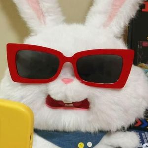 穗岁不睡资料,穗岁不睡最新歌曲,穗岁不睡MV视频,穗岁不睡音乐专辑,穗岁不睡好听的歌