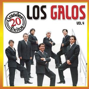 Los Galos资料,Los Galos最新歌曲,Los GalosMV视频,Los Galos音乐专辑,Los Galos好听的歌