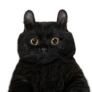 陪你看星星-陈子晴